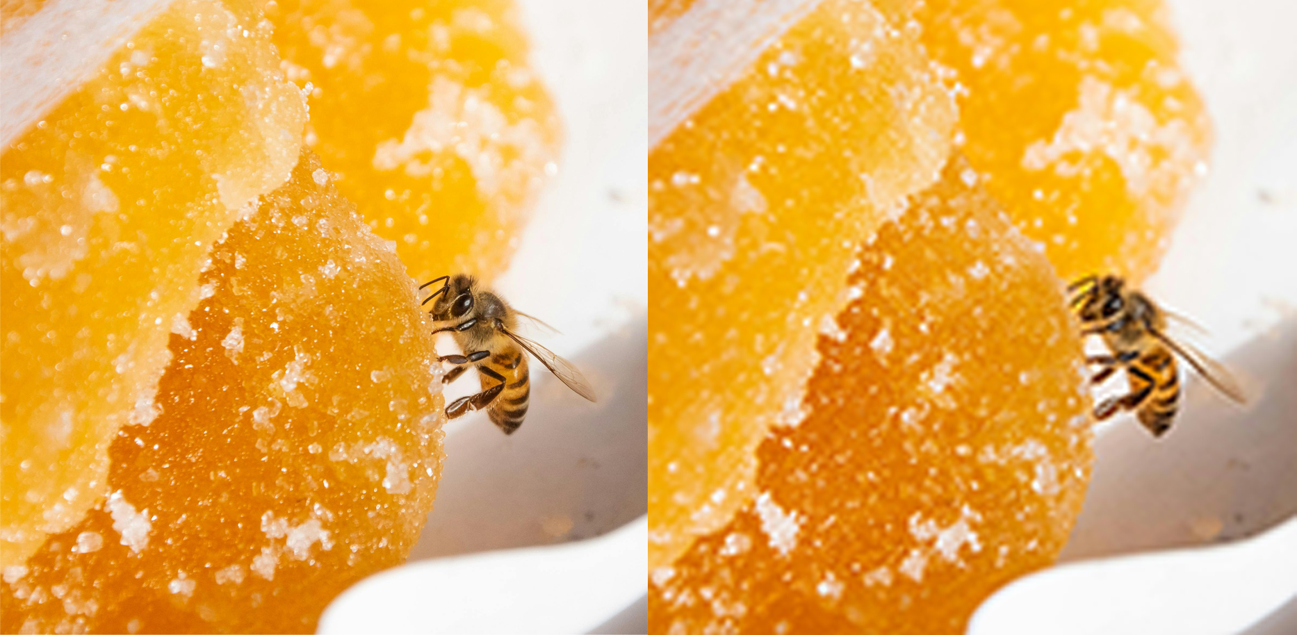 A high resolution digital image (left) versus a low resolution and pixelated digital image (right)